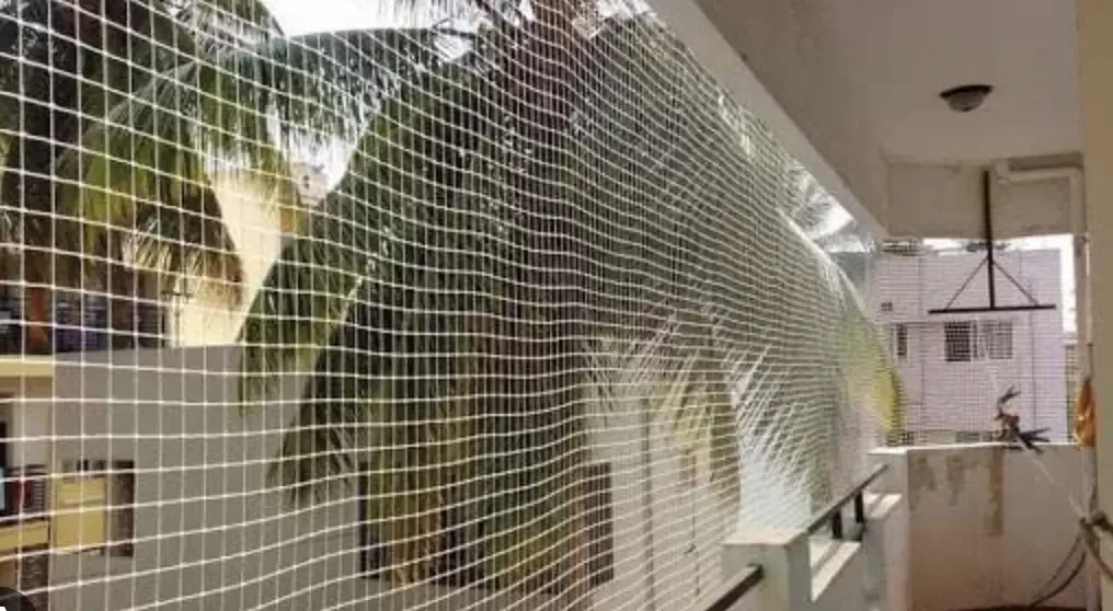 Pigeon Netting Services