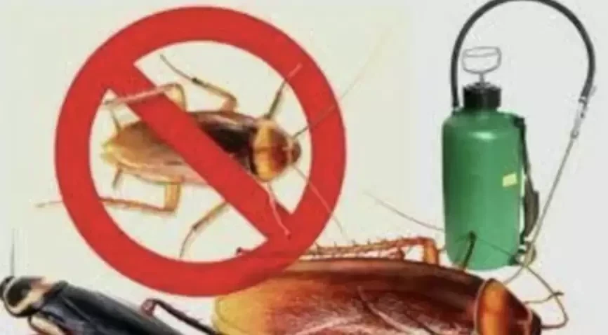 Triveni Pest Control