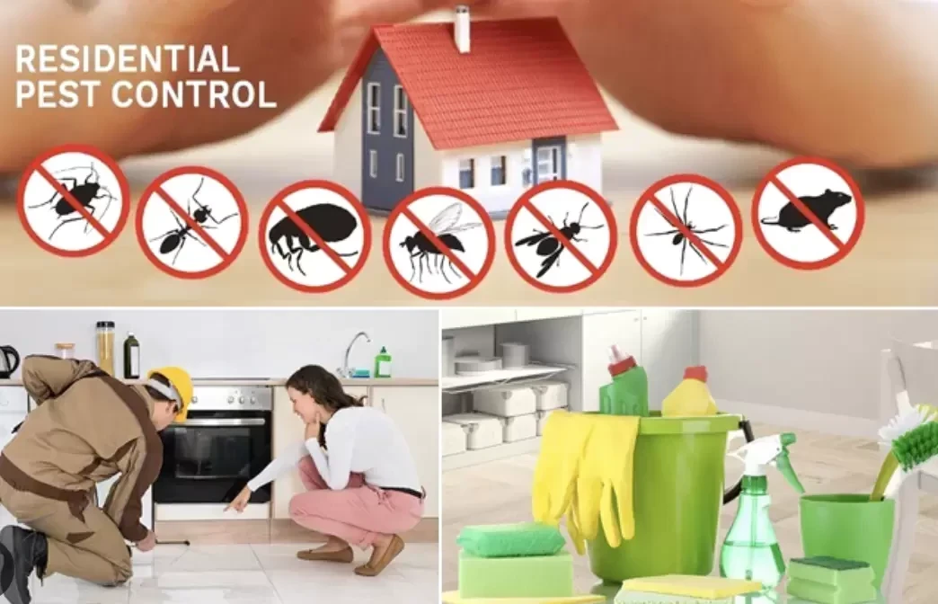Organic Pest Control Service