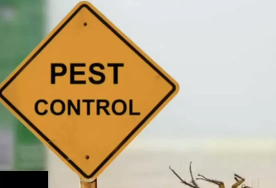 Star Pest Control