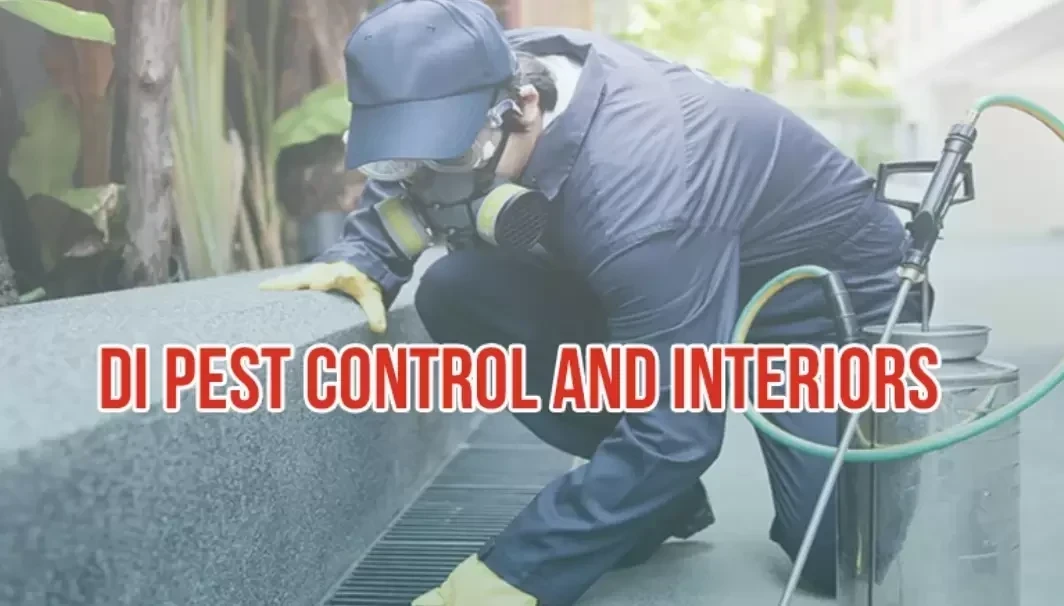 DI Pest Control And Interiors