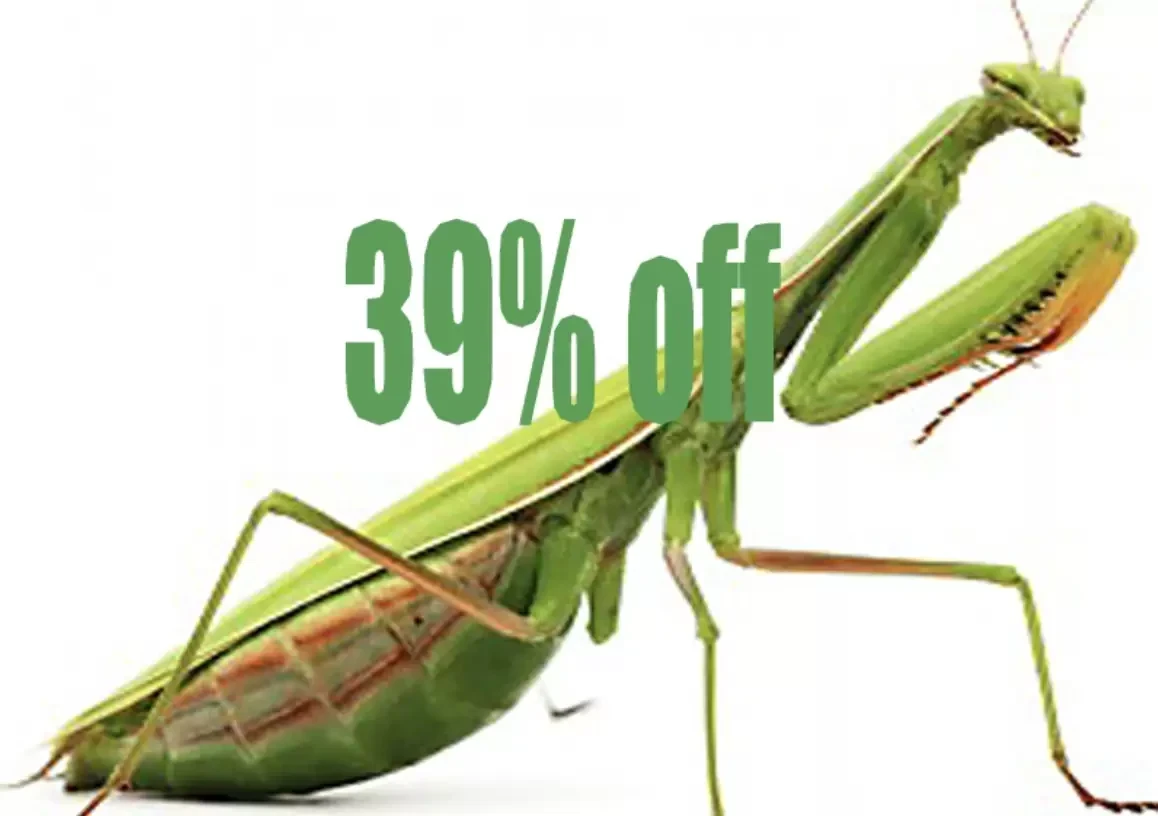 Commercial Pest Control Services