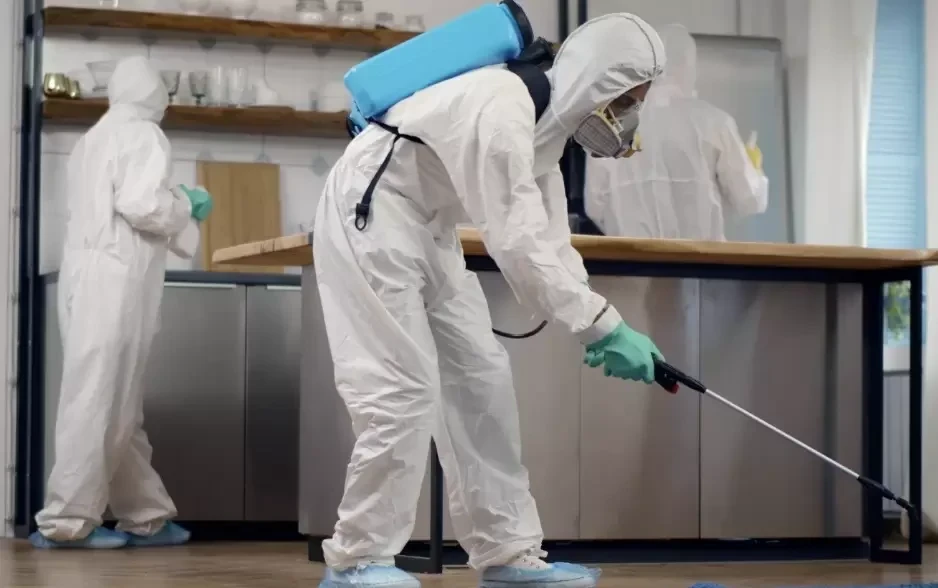 Commercial Pest Control Services
