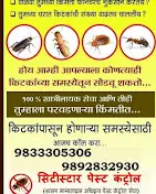 Citystar Pest Control