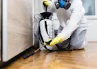 Pyramid Pest Control Services