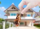 Pyramid Pest Control Services