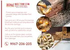 Rectifier Pest Control