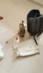 Best Pest Control services