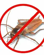 RS Pest Control Service