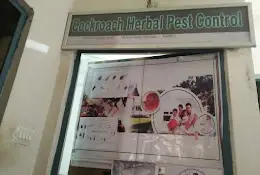 Cockroach Herbal Pest Control