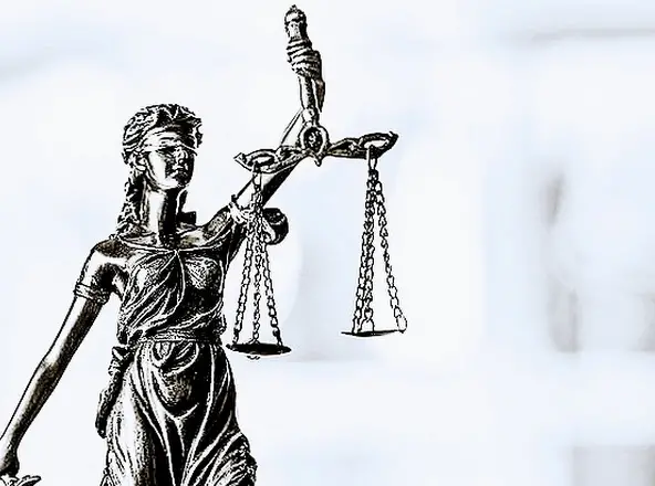 Legal Professionals