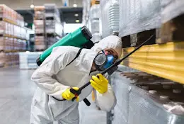 All Pest Solutions