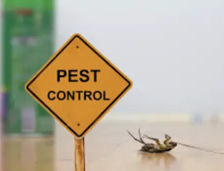 Pestlogic India