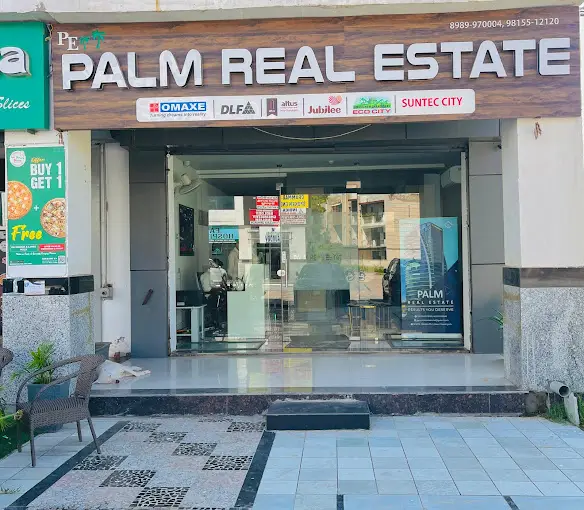 Palm Real Estate