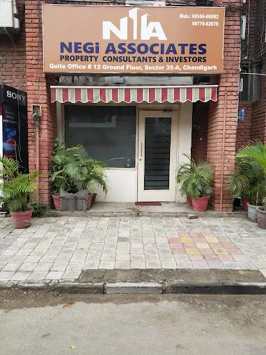 Negi Associates