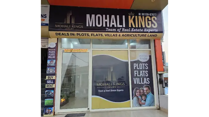 Mohali Kings