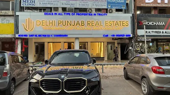 Delhi Punjab Real Estates