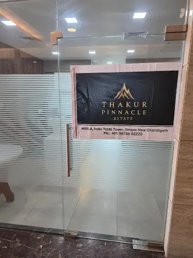 Thakur Pinnacle Estate  New Chandigarh Properties