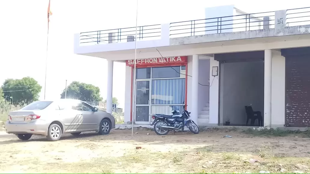 Saffron Real Estate