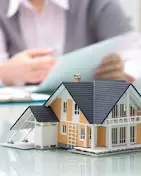 Saini Property