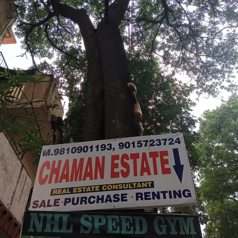 Chan Estate