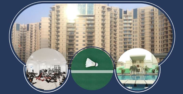 Shree Realty