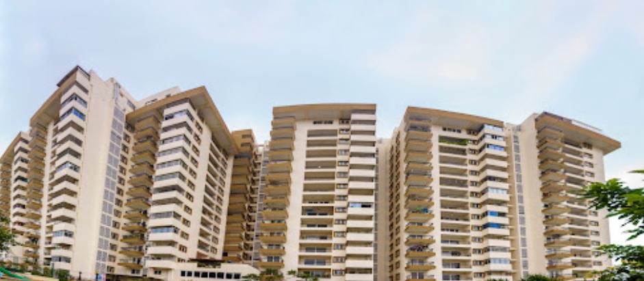 Monarch Properties