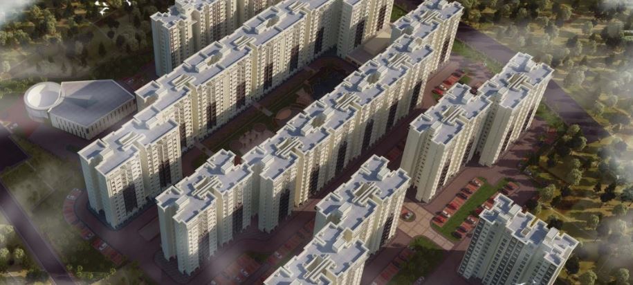 S G Realty
