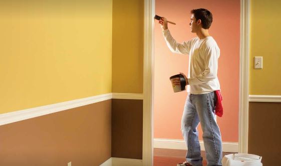 Vinod Wall Painter