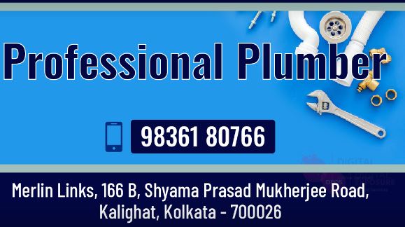 Professional Plumber