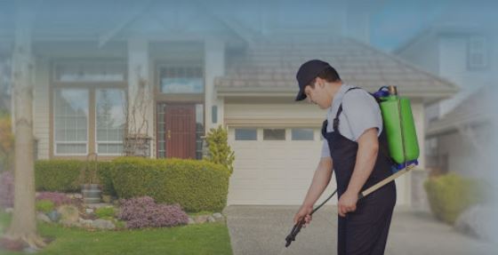 Core Pest Control Service