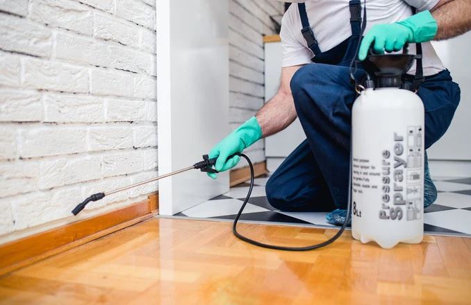 Rodent Control Pepcopp Pest Services