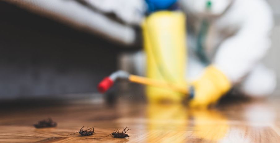 Prime Pest Control