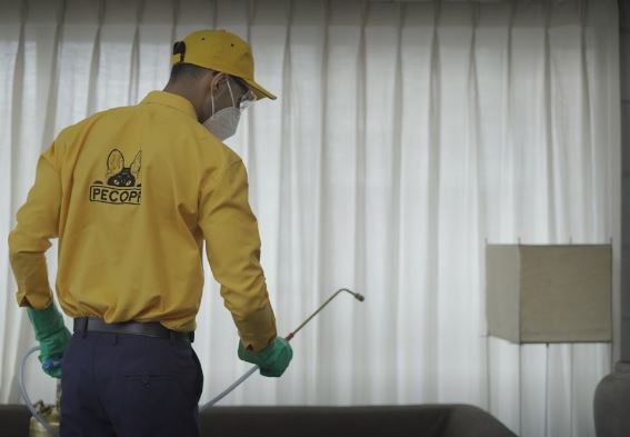 Pecopp Pest Control Services