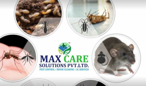 Max Care Solutions Pvt Ltd