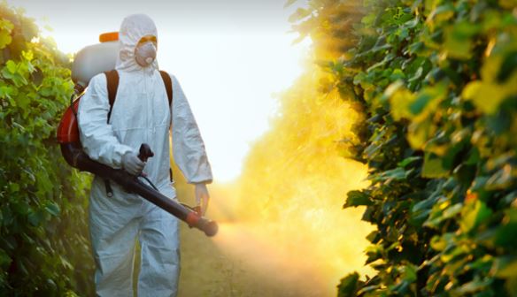 Ankita Pest Control Services