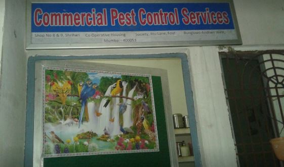Commercial Pest Control Services