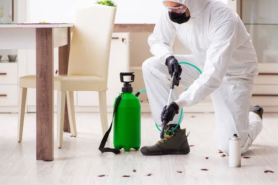 Shipco Pest Control Service