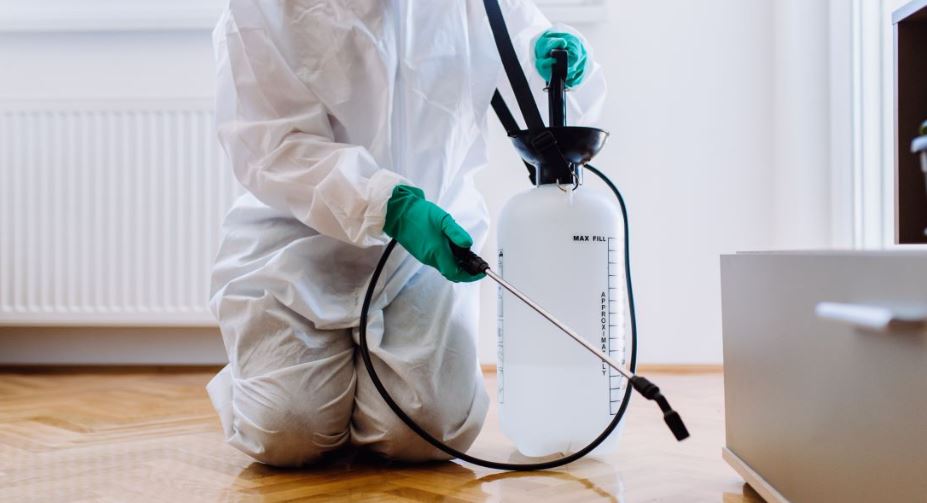Cockroach Pest Control Kurla