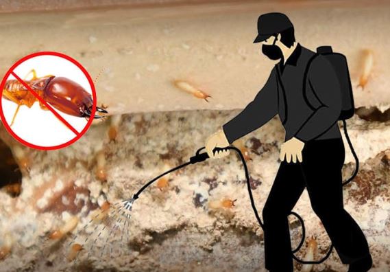 Innov Pest Management