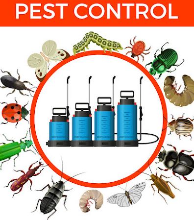 Innov Pest Management