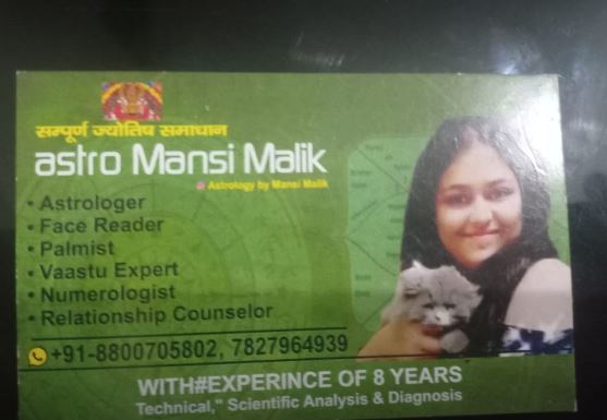 Lal Kitab Vedic Astrologer