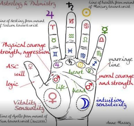 Vasudha Astrologer & Counsellor