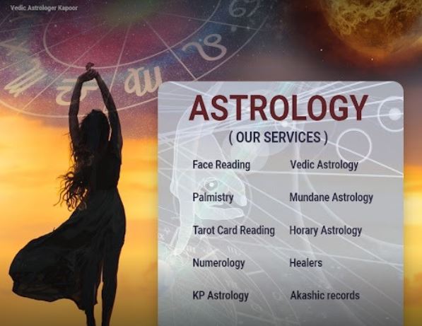 Vedic Astrologer Kapoor