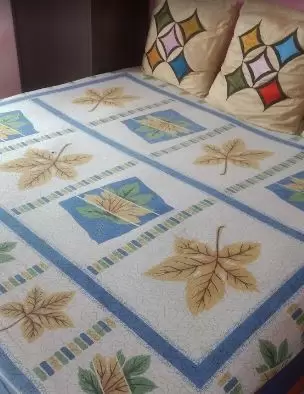 Maple Homes PG