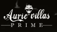 Project Logo