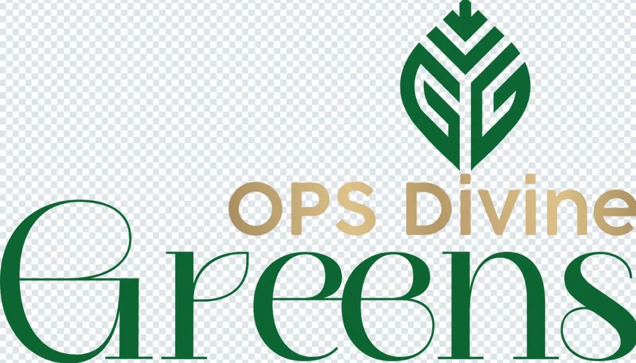 Project Logo