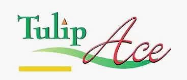Project Logo