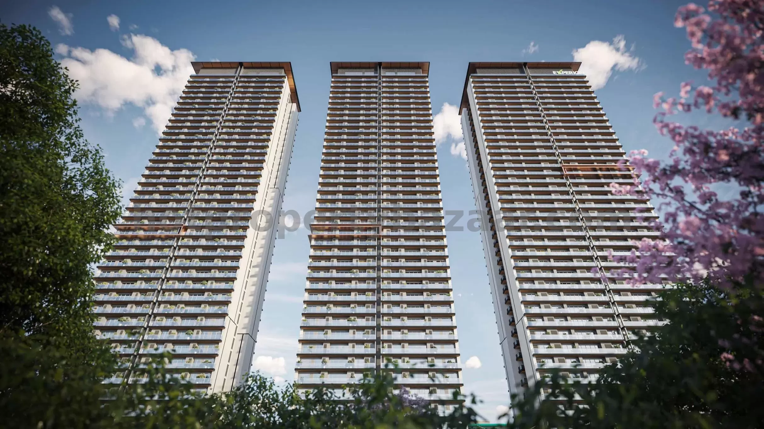 Exterior Image