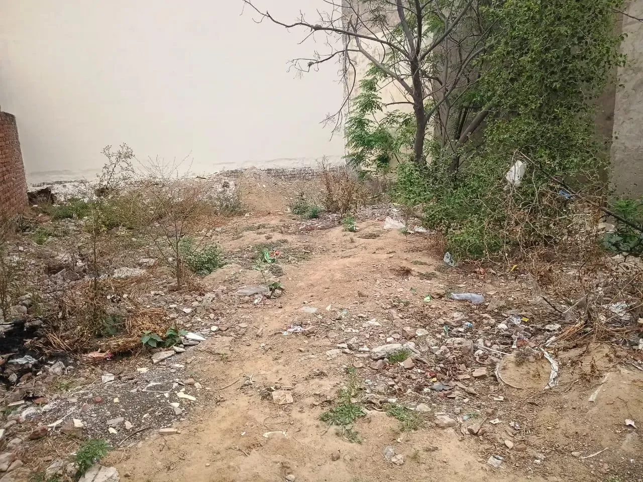 Ryan Baidwan Enclave image